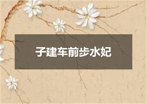 子建车前步水妃