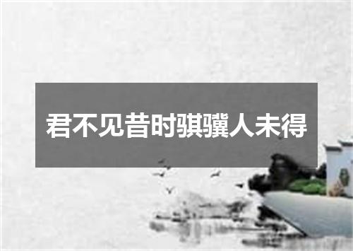 君不见昔时骐骥人未得