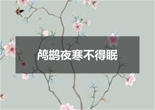 鸬鹚夜寒不得眠