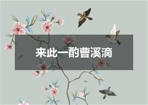 来此一酌曹溪滴