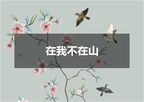 在我不在山