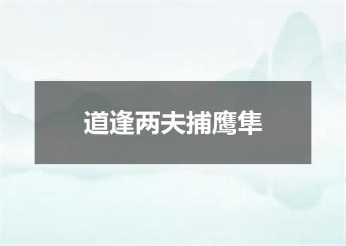 道逢两夫捕鹰隼