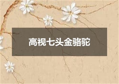 高视七头金骆驼