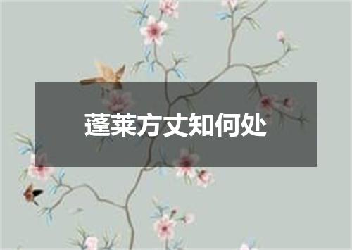 蓬莱方丈知何处