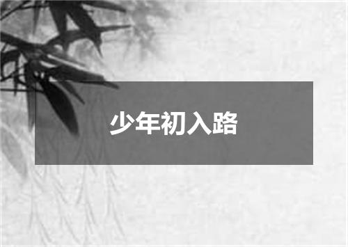 少年初入路