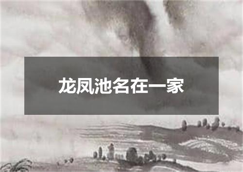 龙凤池名在一家