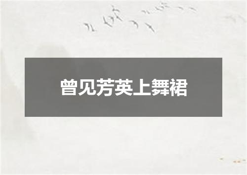曾见芳英上舞裙