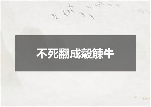 不死翻成觳觫牛