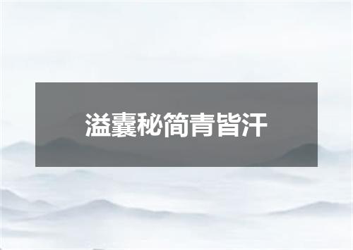 溢囊秘简青皆汗