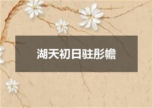 湖天初日驻彤幨