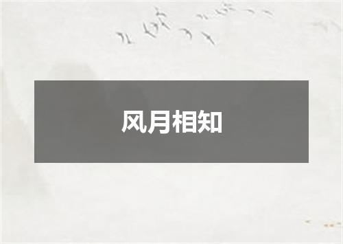 风月相知