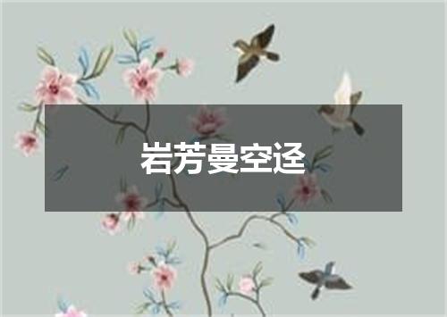 岩芳曼空迳