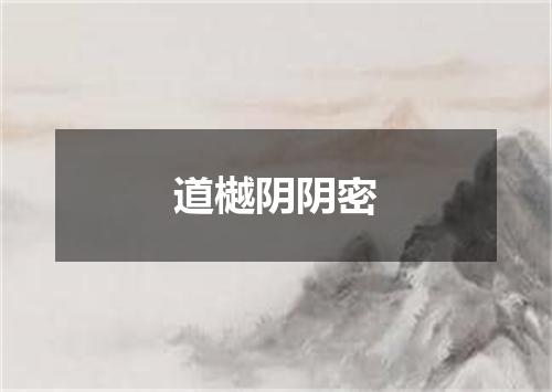 道樾阴阴密