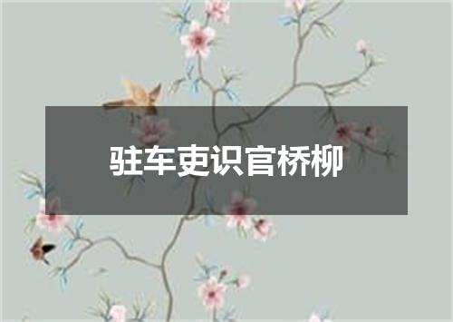 驻车吏识官桥柳