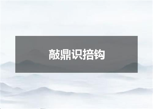 敲鼎识掊钩
