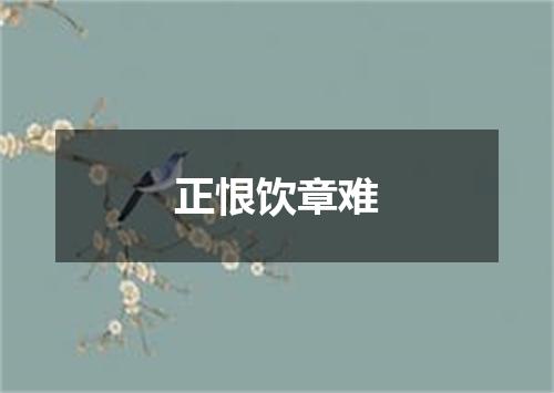 正恨饮章难