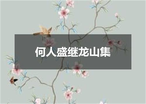 何人盛继龙山集