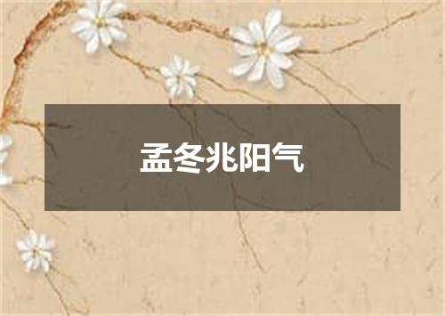 孟冬兆阳气