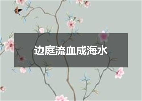 边庭流血成海水