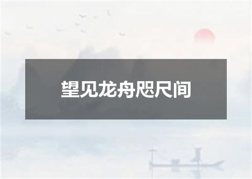 望见龙舟咫尺间