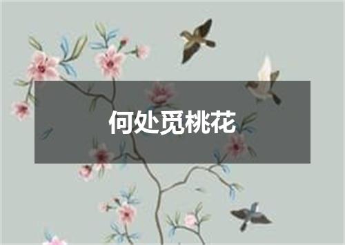 何处觅桃花