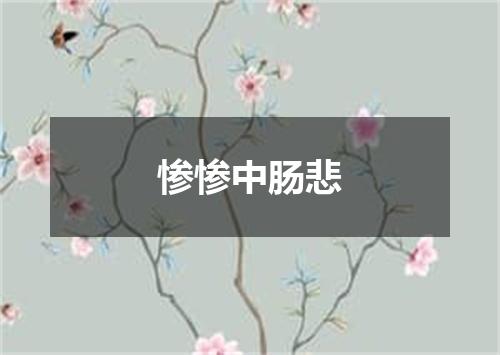 惨惨中肠悲