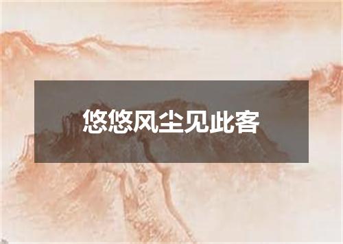 悠悠风尘见此客