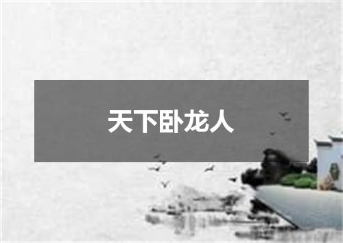 天下卧龙人