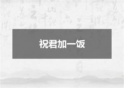 祝君加一饭