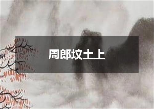 周郎坟土上