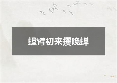 螳臂初来攫晚蝉