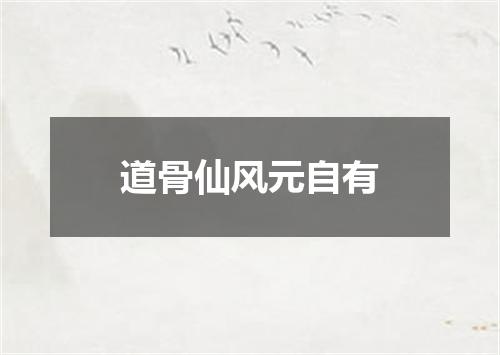 道骨仙风元自有