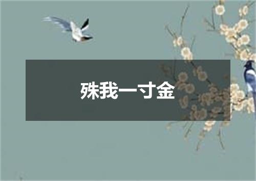 殊我一寸金