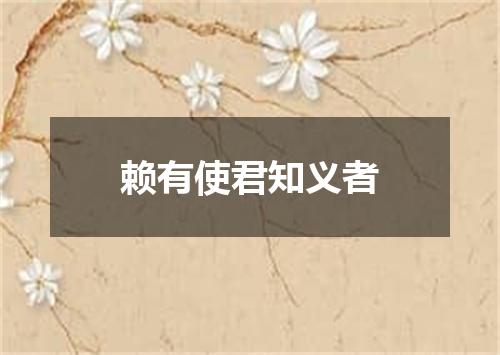 赖有使君知义者