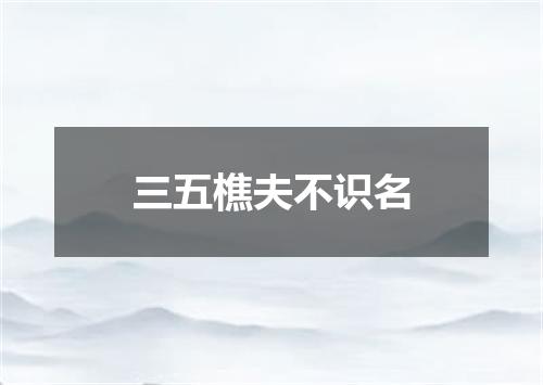 三五樵夫不识名