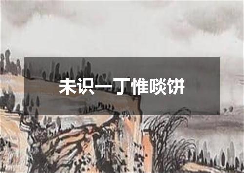 未识一丁惟啖饼