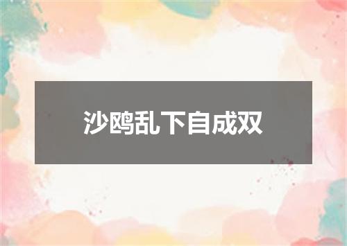 沙鸥乱下自成双
