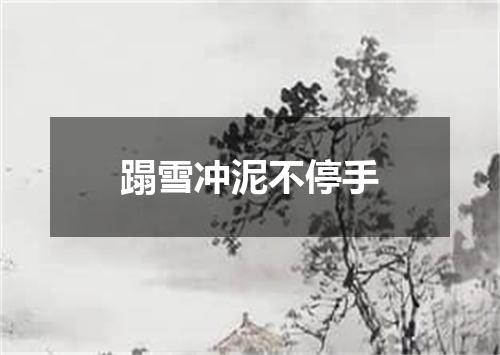 蹋雪冲泥不停手