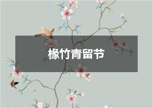 椽竹青留节