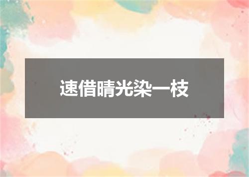 速借晴光染一枝