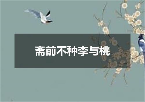 斋前不种李与桃