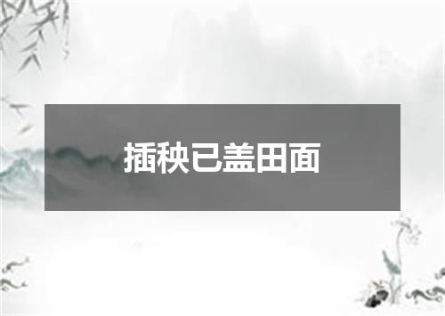 插秧已盖田面