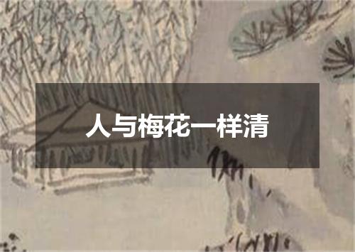 人与梅花一样清