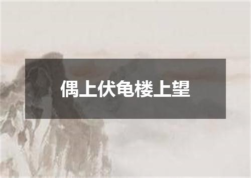 偶上伏龟楼上望