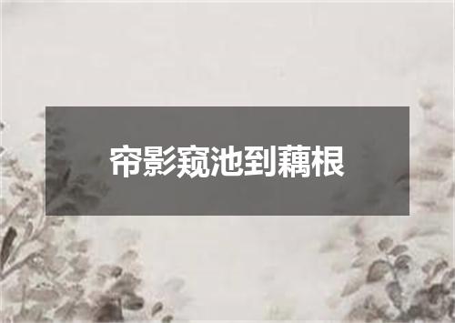 帘影窥池到藕根