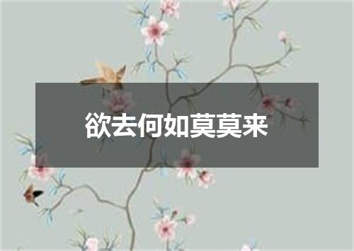 欲去何如莫莫来