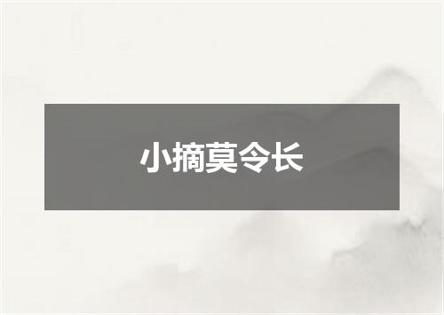 小摘莫令长