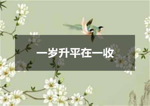 一岁升平在一收