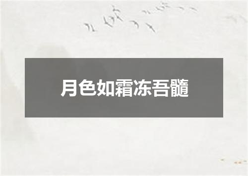 月色如霜冻吾髓
