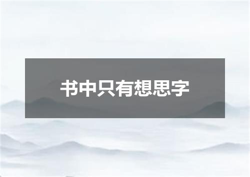 书中只有想思字